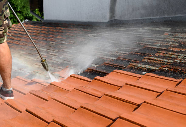 Best Garage Pressure Washing  in Williamsport, IN